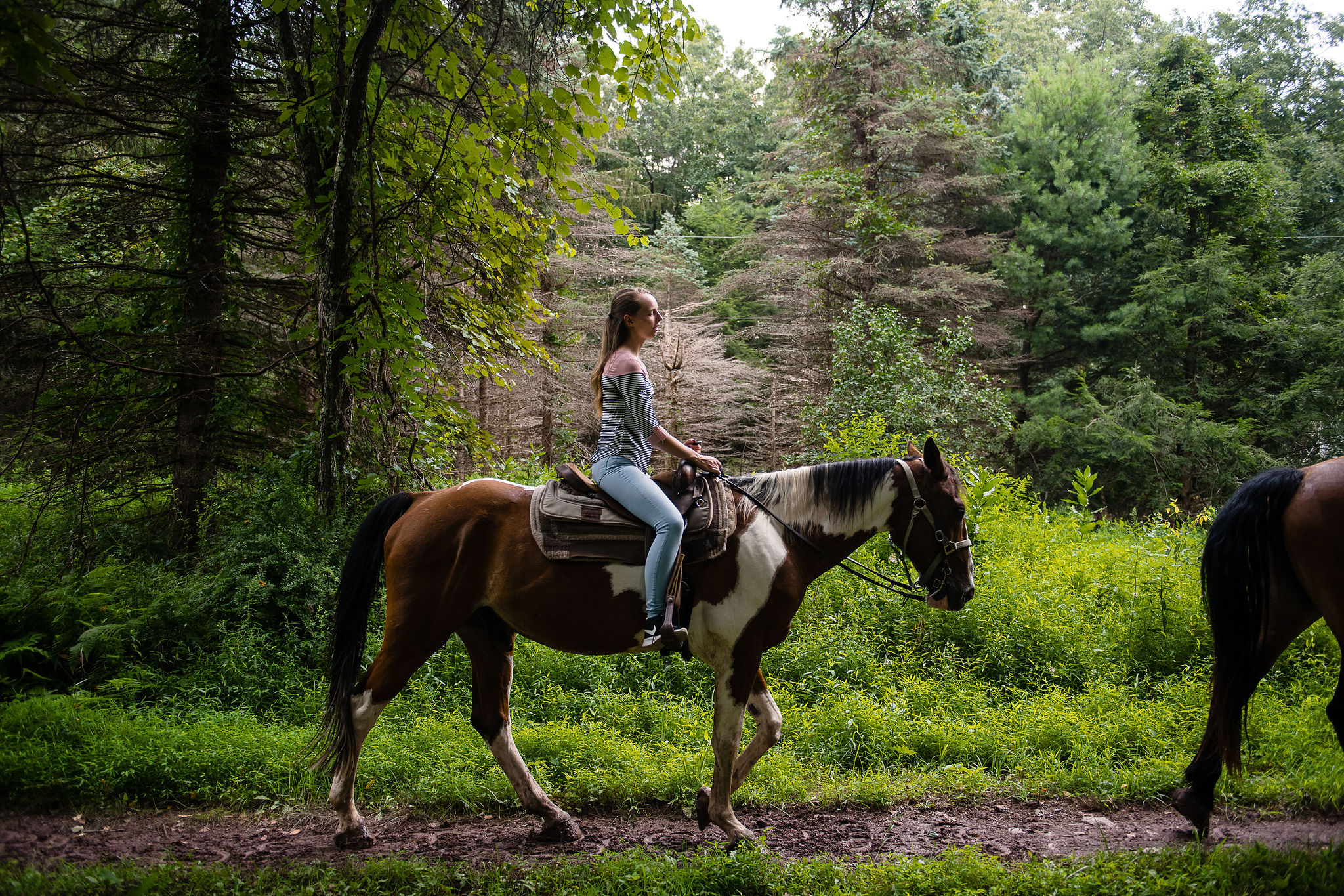 Equestrian Trails